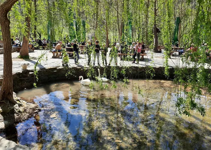 Appartement Toni-3 By Interhome